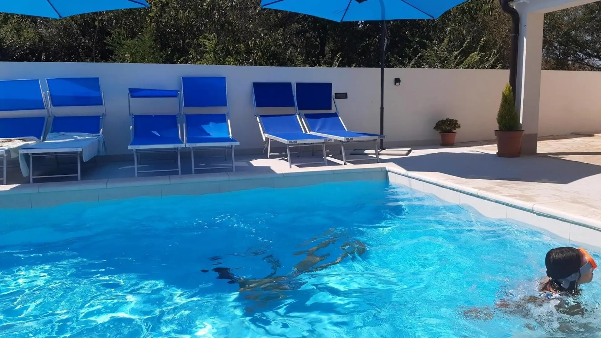 Villa Bianca Wohnung Mit Privatem Pool Privlaka  Croatia